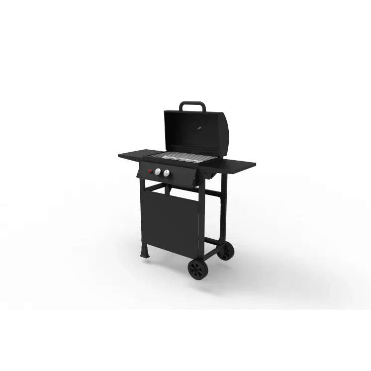 BBQ GAZ 2 BRULEURS