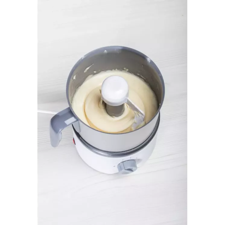 SAUCIER ELECTRIQUE AVEC LIVRE DE 47 RECETTES