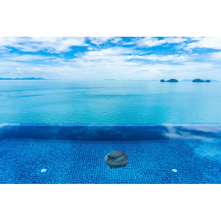 ROBOT ASPIRATEUR POUR PISCINE