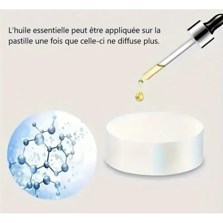 PASTILLES DESODORISANTES POUR REF 003242