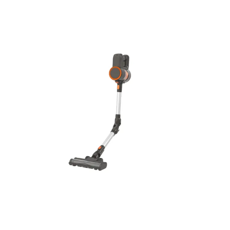 ASPIRATEUR BALAI FLEX