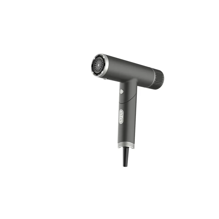 SECHE CHEVEUX PRO BLDC