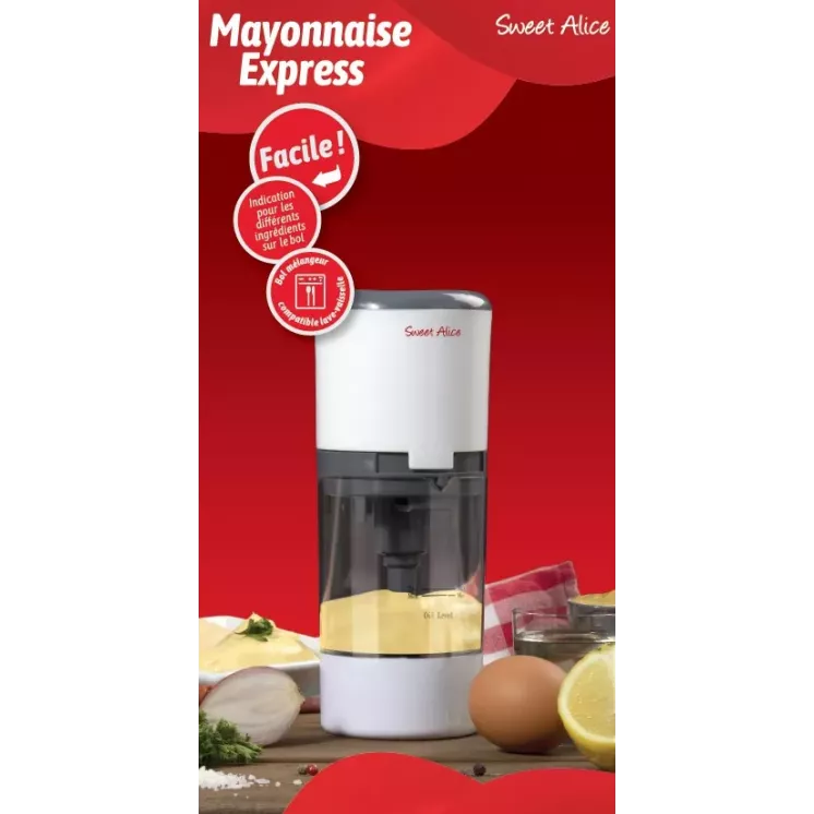 MAYO EXPRESS AVEC LIVRE DE 20 RECETTES
