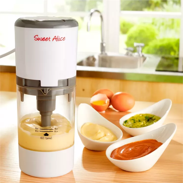 MAYO EXPRESS AVEC LIVRE DE 20 RECETTES